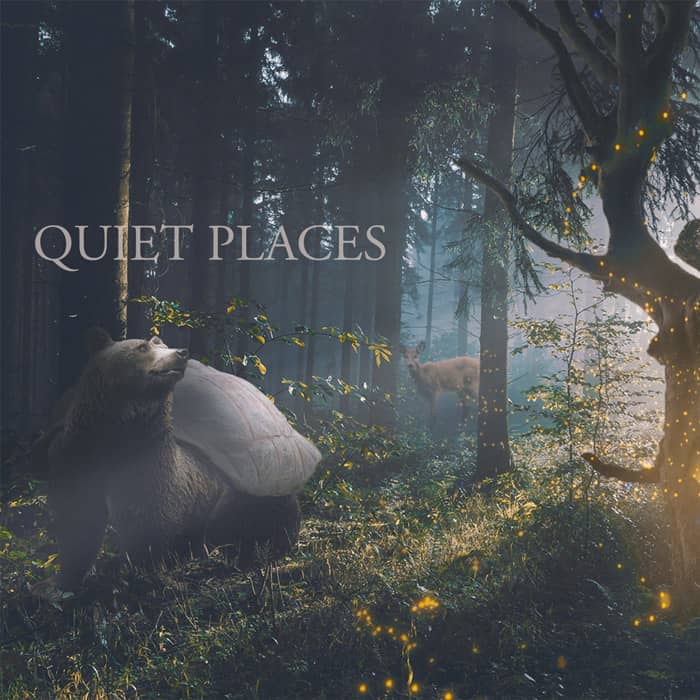 Quiet Places artwork